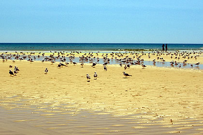 Cabanas de Tavira, Algarve